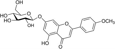 Tilianin Extracted From Dracocephalum moldavica L. Induces Intrinsic Apoptosis and Drives Inflammatory Microenvironment Response on Pharyngeal Squamous Carcinoma Cells via Regulating TLR4 Signaling Pathways